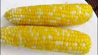 How to Microwave Corn on the Cob [upl. by Ytsirc306]