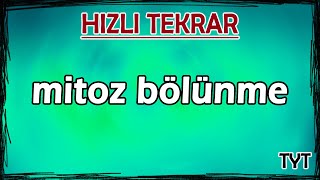 Mitoz ve Mayoz Bölünme 📗 7FEN3 2025 [upl. by Etnomaj582]