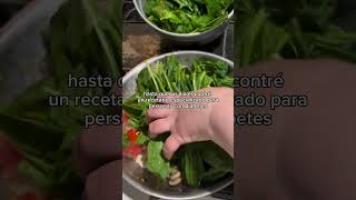 Comidas para diabéticos recetas salud diabeticos comida [upl. by Amethist]