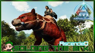 Thylacoleo Hunting in the Redwoods Soloing the Ark Ascended 24 [upl. by Nuavahs360]