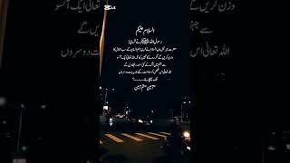 💯✨❤️ Islamic quotes  Islamic motivation quotes  Islamic Motivational quotes in Urdu [upl. by Fernande]