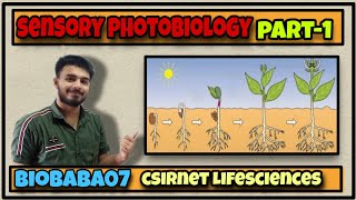 Sensory photobiologyintroduction part1 csirnet lifesciences gate physiology [upl. by Lirba571]