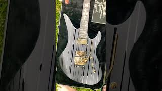 Synyster Gates Guitar short schecter a7x [upl. by Aramot457]