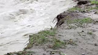 Heavy rain leads to intense flooding in Austria [upl. by Cairistiona]