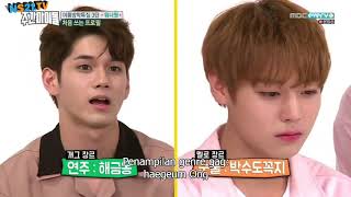 Weekly Idol episode 316 wanna one sub indo [upl. by Hgielra]