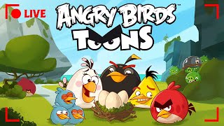 🔴 LIVE Angry Birds Party  Toons Season 1 All Episodes [upl. by Eus]