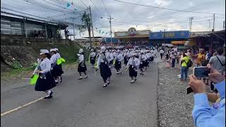 Banda de Música Instituto Rubiano 2023  Camina  Desfile Fundación de Arraijan [upl. by Tamas242]