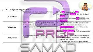 Les figures de style partie 3  figures dopposition [upl. by Wiatt140]