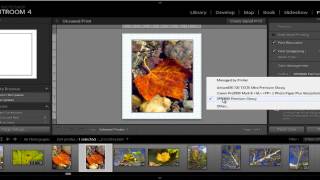 How to Print from Adobe Photoshop Lightroom to the EPSON R2880 [upl. by Anitel]