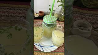 Ash gourd juice in different flavor [upl. by Finlay]