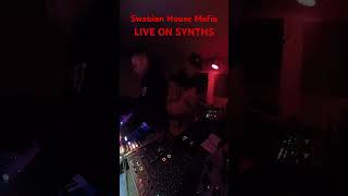 Swabian House Mafia live technomusic livemusic dawless moog davesmithinstruments octatrack [upl. by Mount]