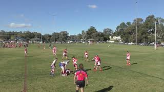 U14s Temora Dragons v Young 18 June 2022 [upl. by Ennad98]