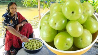 সর্দি কাশি গ্যাস অম্বল দূর করতে আমলকী এইভাবে একবার খেয়ে দেখুন দারুন উপকার পাবেন  amla recipe [upl. by Nyliret]