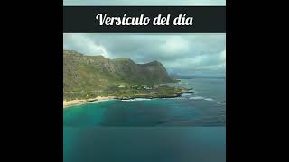 La Gracia De Dios La Familia Salvaciónlabiblia versiculodeldia cristoviene shortsviral podcast [upl. by Moll144]