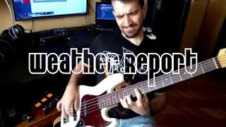 Weather Report  Havona Bass cover [upl. by Drannel]