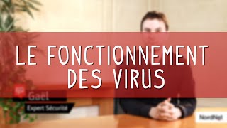 Les virus informatiques fonctionnement chap1 Paroles dexperts [upl. by Ymia619]