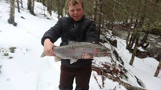 INSANE Small Creek Bobberdowns Great Lakes Steelhead [upl. by Nosduj265]