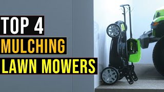 ✅Top 4 Best Mulching Lawn Mowers in 2024  The Best Mulching Lawn Mowers Reviews [upl. by Hakym]