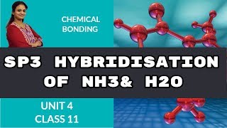 SP3 Hybridisation of NH3 amp H2O  chemical bonding  CBSE Class 11 Chemistry [upl. by Kirre]