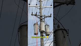 Lineman WorkEnergize Transformer lineman electrician line [upl. by Akenihs]