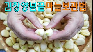 마늘보관법 3가지만 기억하기 마늘까기 이렇게 쉽다구 김장양념끝 깐마늘 보관방법 [upl. by Beore]