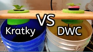 Kratky Vs DWC Hydroponics Competition Which One Is Better [upl. by Novled]