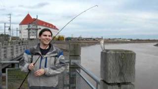 Petitcodiac Riverkeeper catching a PoulamonMicrogadus Tomcod downtown Moncton [upl. by Llebana]