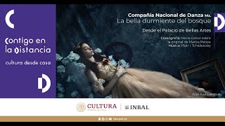 La bella durmiente del bosque  Compañía Nacional de Danza CND [upl. by Rebmyt]