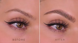 UPDATED Natural Fluffy Eyebrow Tutorial 2024  HowTo  Shonagh Scott [upl. by Sarajane89]