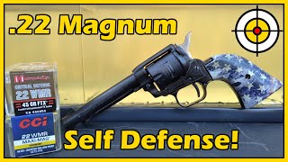 22 Magnum Hornady Critical Defense vs CCI MaxiMag Ballistic Gel Test With a Heritage Rough Rider [upl. by Marybeth769]