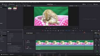 เปลี่ยนวีดีโอ ให้เป็นภาพนิ่งด้วย davinci resolve [upl. by Sofie]