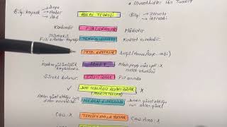 MaturidiEşari ayrımları neler⁉️ Kısa Özet DikabDhbtMbsts [upl. by Osborn]