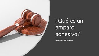 Qué es el amparo adhesivo [upl. by Anneh]