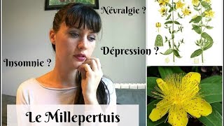 ❀Plante Médicinale3 Le Millepertuis Contre la Dépression [upl. by Carilyn]