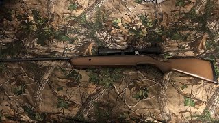 Crosman vantage np 22 cal air rifle review and chronograph testing and target shooting [upl. by Nairdna]