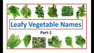 leafy vegetable names  names of leafy vegetables  leafy veggies  leafy  EToddlers [upl. by Nonnaehr]