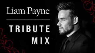 Best of One Direction Mashup Mix  Liam Payne Tribute [upl. by Sung]