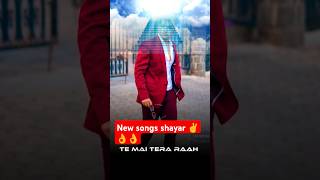 Shayar new songsexplore brokenmusic love trending song punjabi ytshorts viralshort video [upl. by Attelrac]