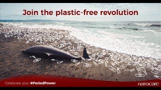 Plastic Free Periods  Its time to Sea Red [upl. by Aivataj802]