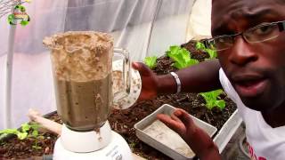 How To Feed Your Earthworms amp Plants [upl. by Irodim]