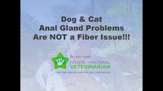 Dog amp Cat Anal Gland Problems Have Nothing to do with Fiber [upl. by Hajar]