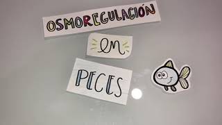 Osmorregulación en peces [upl. by Odraode]