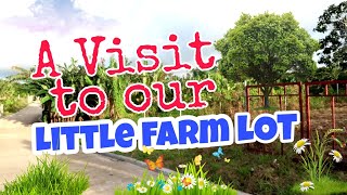 SMALL FARM LOT  SUBDIVIDED FARM LOT  FARMVILLE AMADEO CAVITE  FARM TOUR  AFFORDABLE FARM LOT [upl. by Herv]