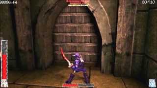 Rune Halls of Valhalla  Hildir  Online Gameplay 1 [upl. by Loyce]