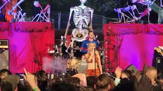 Amyl and the sniffers  Knifey Live at Halloween meltdown Oakland California [upl. by Marjana]