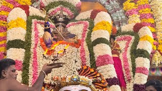 Thirumylai velleswarar vaigasi brahmotsavam day 3 bhodan vahanam ❤️‍🔥❤️‍🔥❤️‍🔥 [upl. by Lehcsreh328]