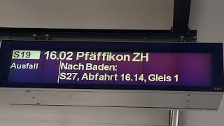 SBB Ansage Ausfall S19 nach Pfäffikon ZH [upl. by Ahsen373]