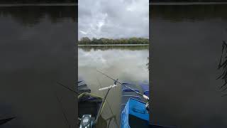 Barston lake fishing methodfeeder aventuripescaresti fishing peg124 carpfishing [upl. by Ainaj]