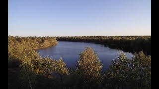 Der Silvestersee bei Schneverdingen [upl. by Eboh]