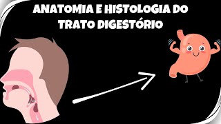 Quais os fundamentos da anatomia e da histologia do sistema digestório até o estômago [upl. by Urana164]